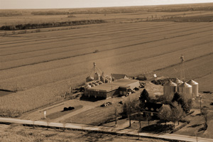 RDR Grains and seeds farm